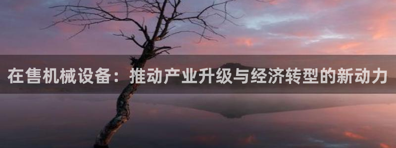 九游会ag真人官网