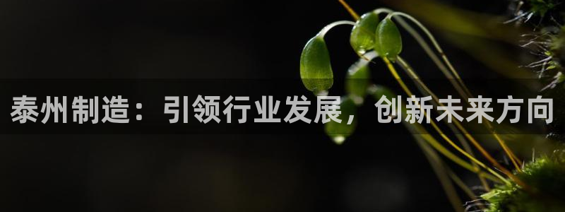 九游会网址是什么情况