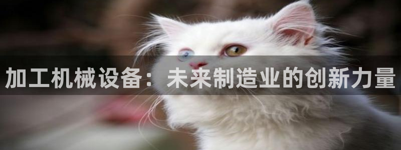 九游会网址最新