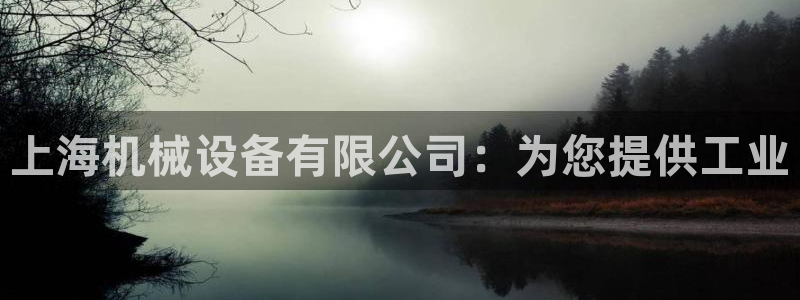 九游会usdt