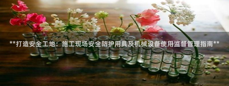 九游会ag亚洲