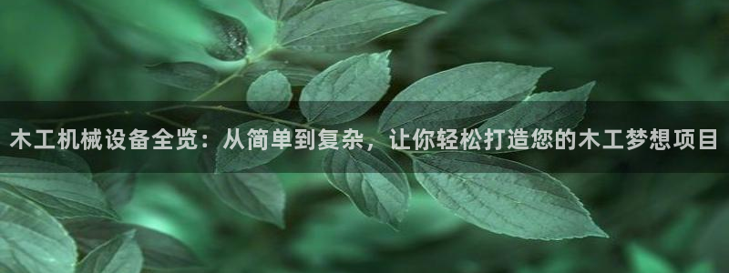 九游会账号登录网址