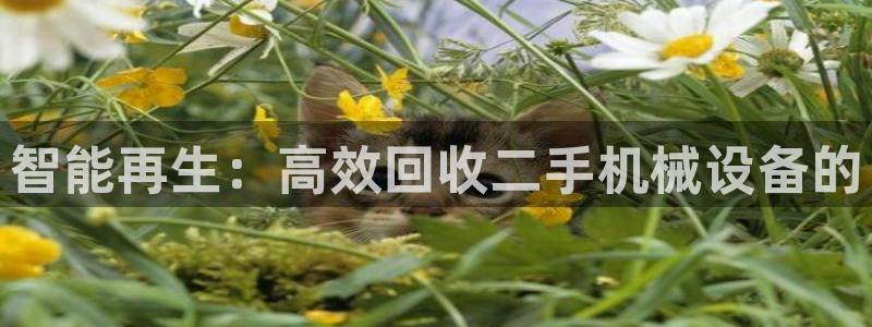 九游会游戏平台有哪些