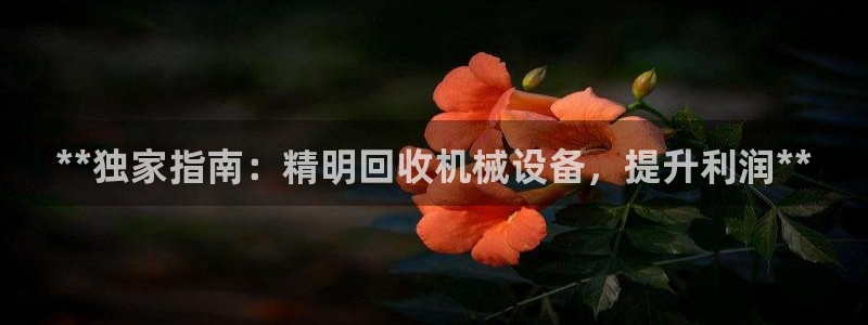 九游会员官网真人游戏第一品牌