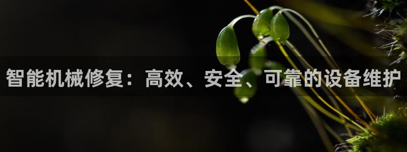 j9九游会跑路了吗