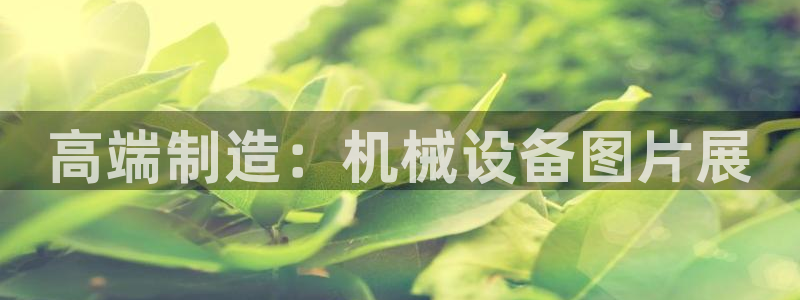 九游会官网ag
