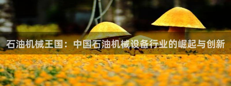 九游会真人第一品牌游戏合营