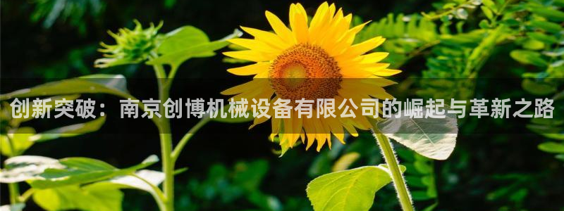 九游会官网多少