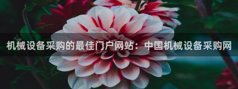 九游会官网进入