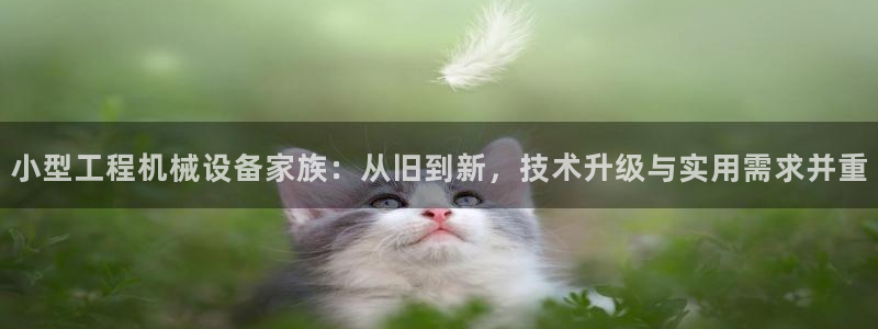 九游会ag真人官网ios