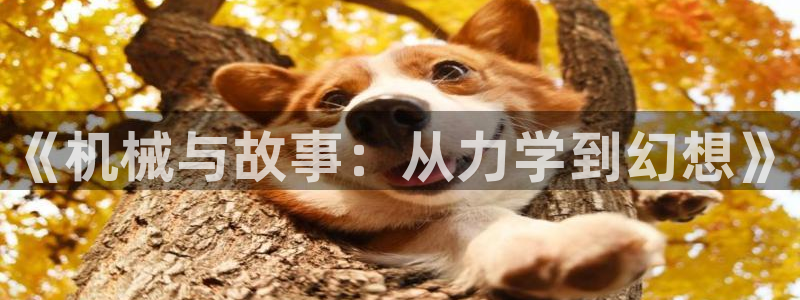 笔趣书阁高h：《机械与故事：从力学到幻想》