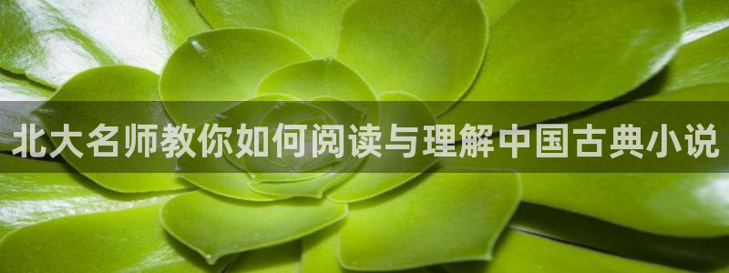 sj.qubook 趣书：北大名师教你如何阅读与理解中国古典小说