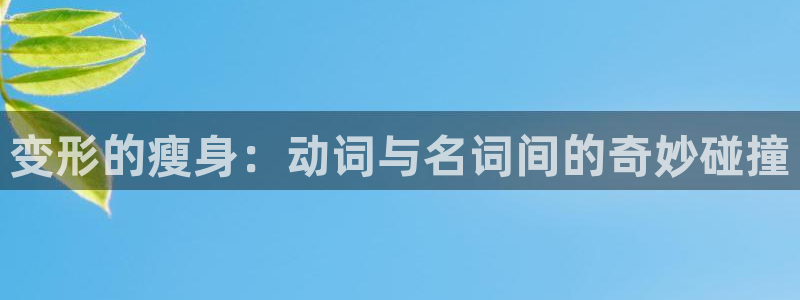 笔趣书阁免费全本小说：变形的瘦身：动词与名词间的奇妙碰撞